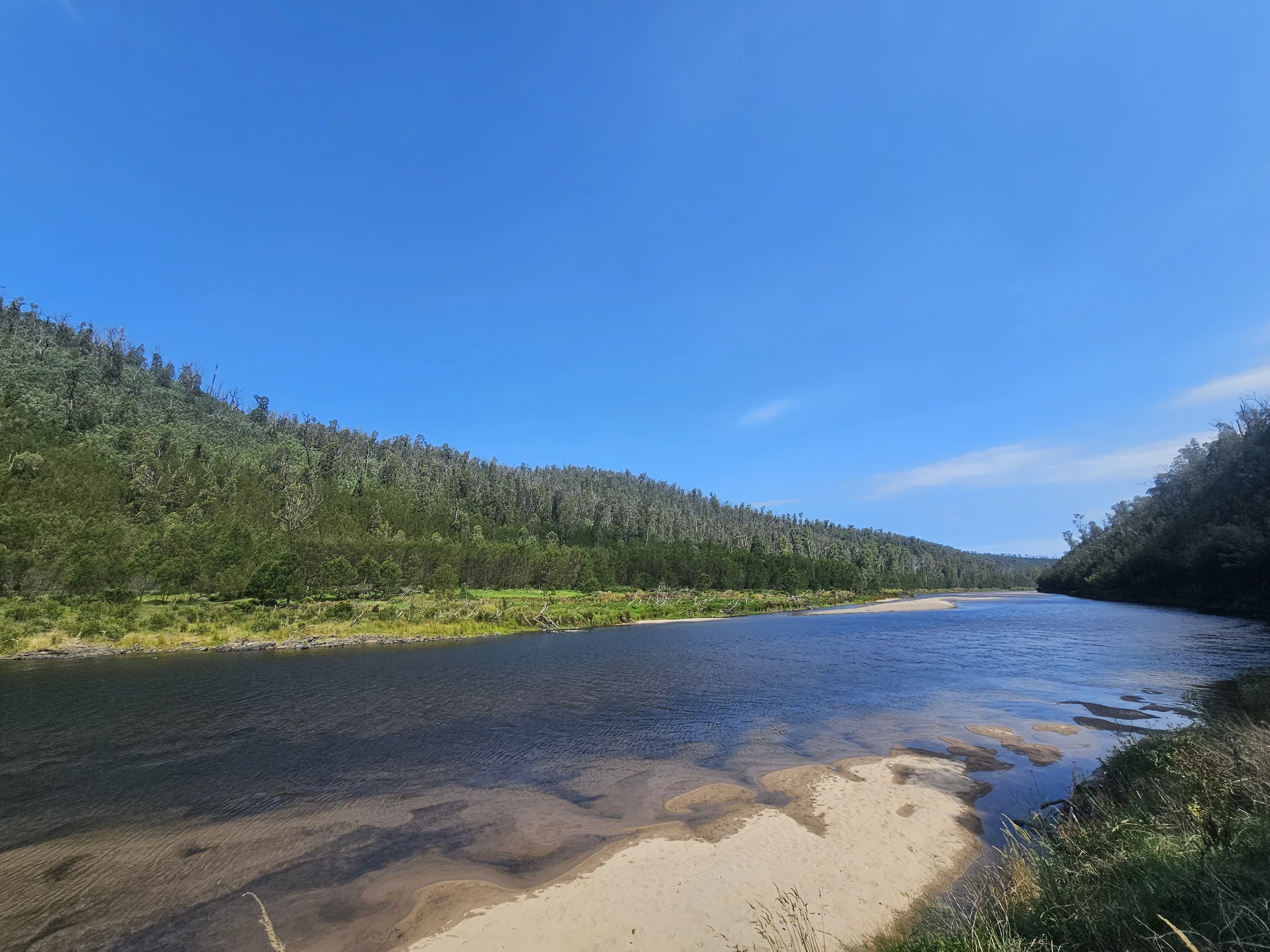 Orbost