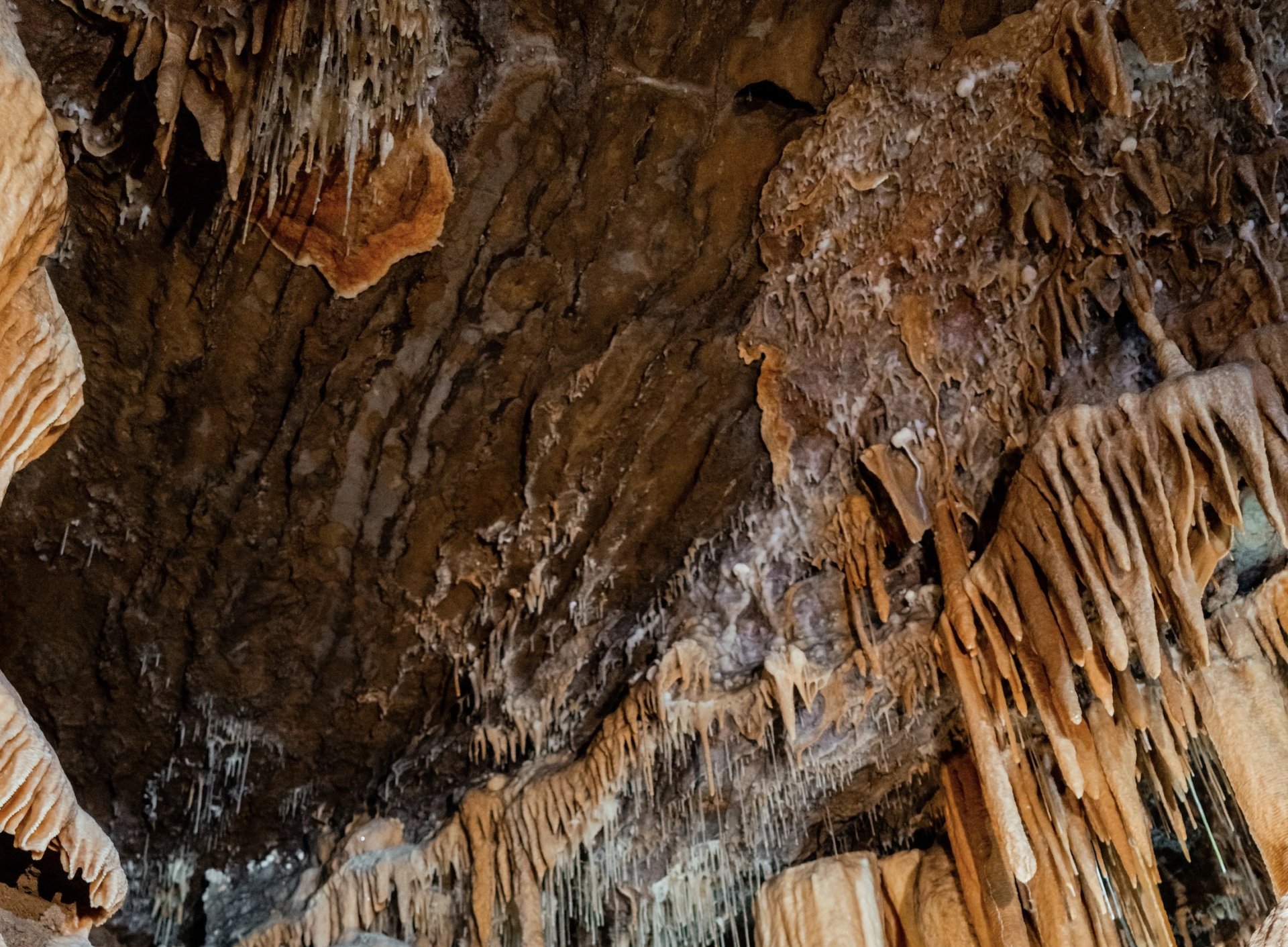 Buchan Caves Reserve